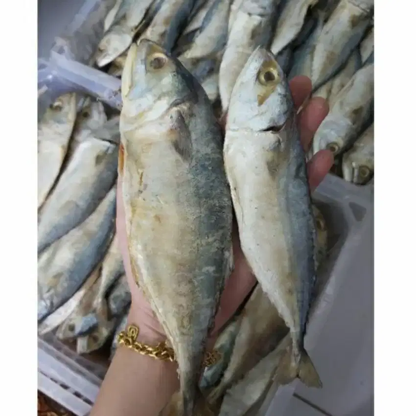 Ikan Asin Peda iwak karing Peda khas banjar