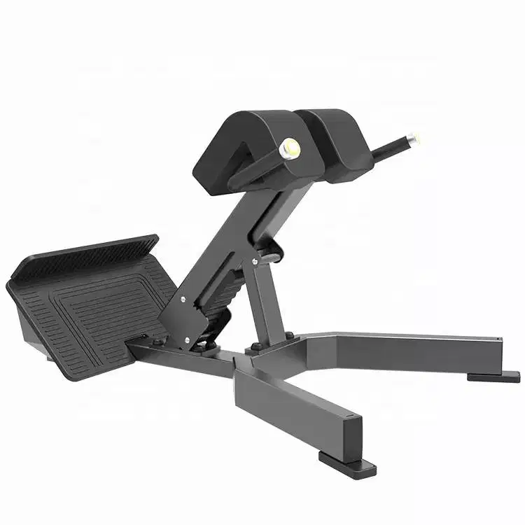 Back extension komersial fitness import