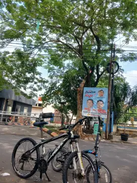 Sepeda gunung bekas merk pacific