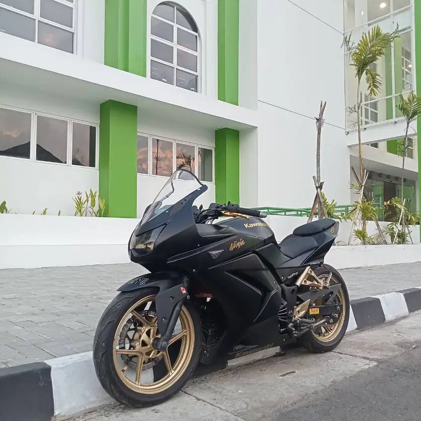 Kawasaki Ninja 250 Karbu