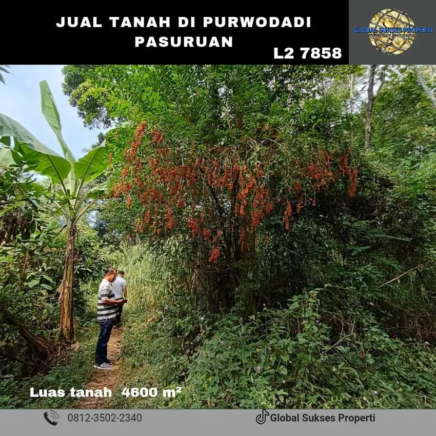 TANAH KEBUN SUBUR HARGA ISTIMEWA DI PANDAAN KABUPATEN PASURUAN.