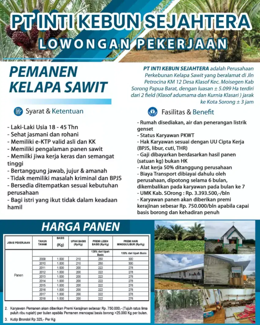 Lowongan kerja di perkebunan kelapa sawit