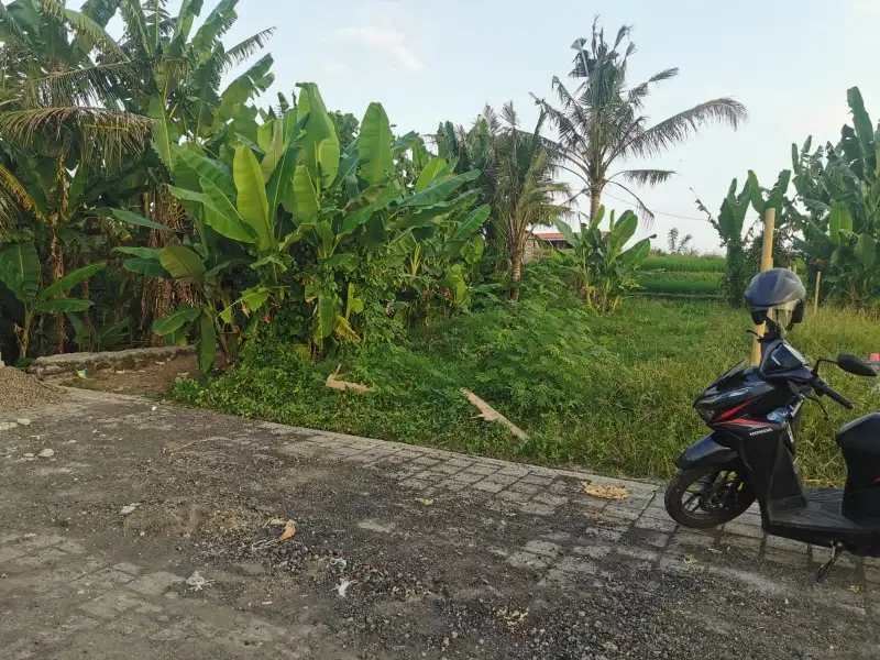 Disewakan Tanah pinggir pantai di kecamatan Tejakula