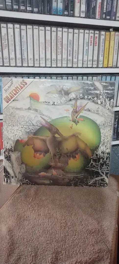 Piringan hitam/Vynil