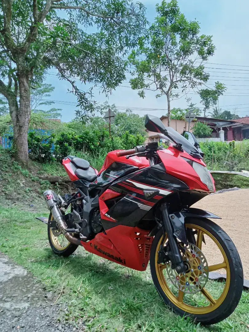 Fokus Mahar Ninja RR 250 mono