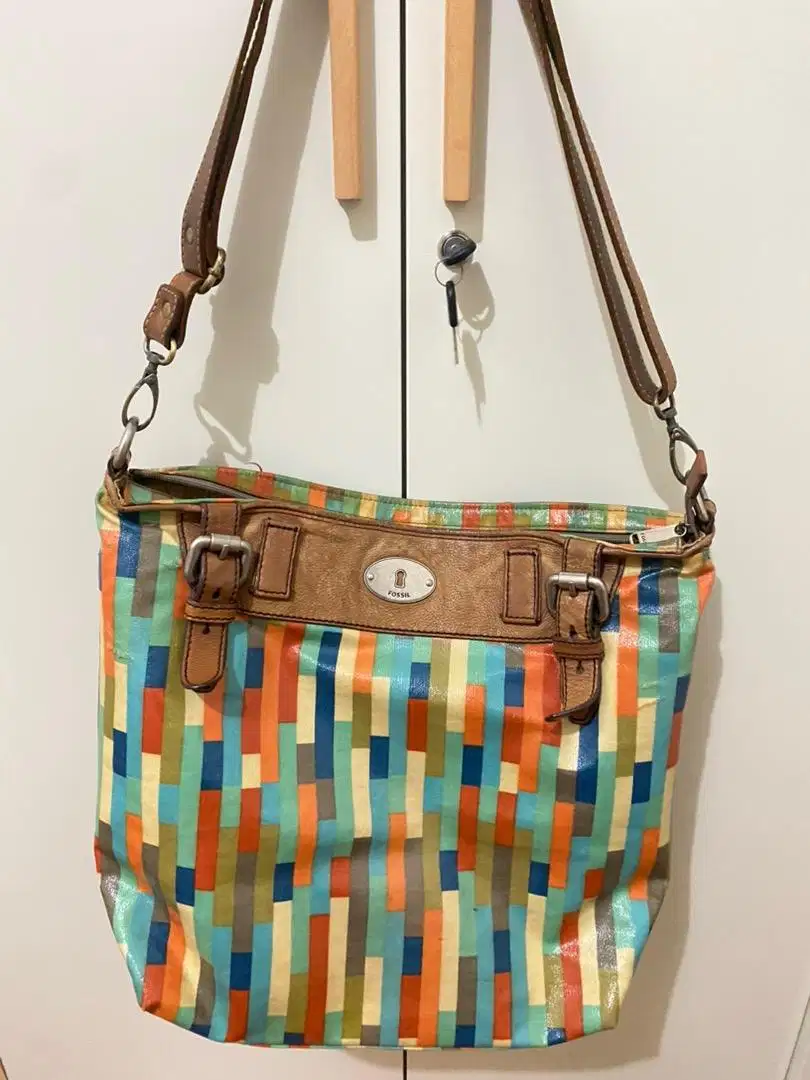 Tas Fossil Rainbow