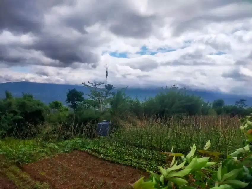 Tanah bagus rata view lepas untuk villa+glamping+kebun masa pensiun