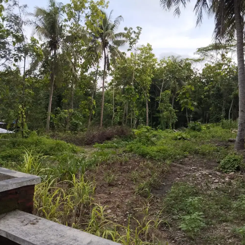 Jual Tanah pekarangan cocok untuk kaplingan