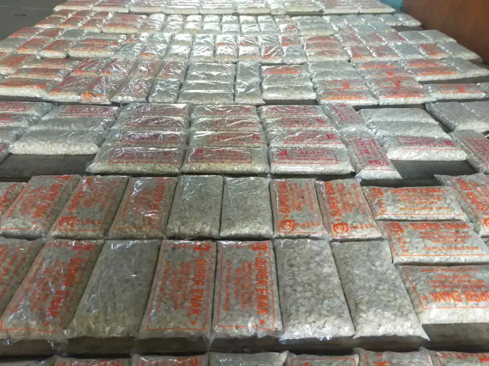 Tempe asli Kulon Progo