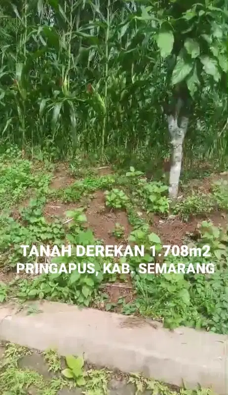 DIJUAL TANAH SEBELAH PERUMAHAN KLEPU PINGAPUS