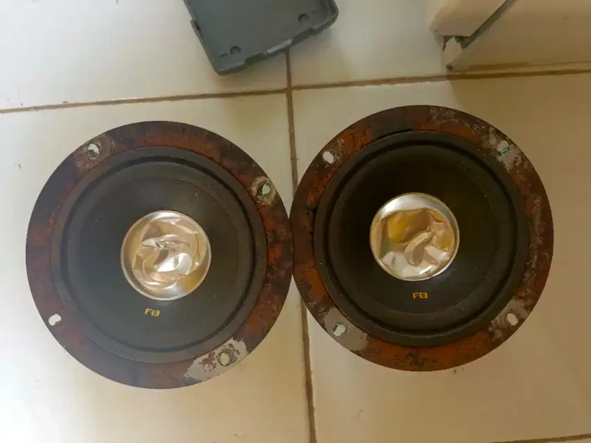 Driver midrange