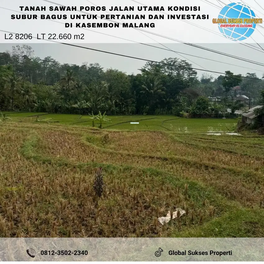 Tanah Sawah Di Poros Jalan Kondisi Subur Utk Tani Dan Inves Di Malang