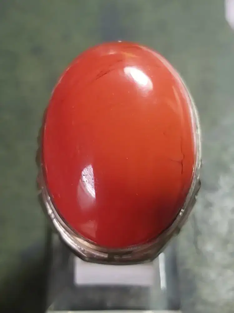 Red Marjan Jumbo -
Ring Alpaka 10