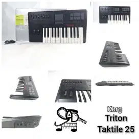 KORG TRITON TAKTILE 25 SYNYH MIDI CONTROLLER SYNTHESIZER CONTROLER