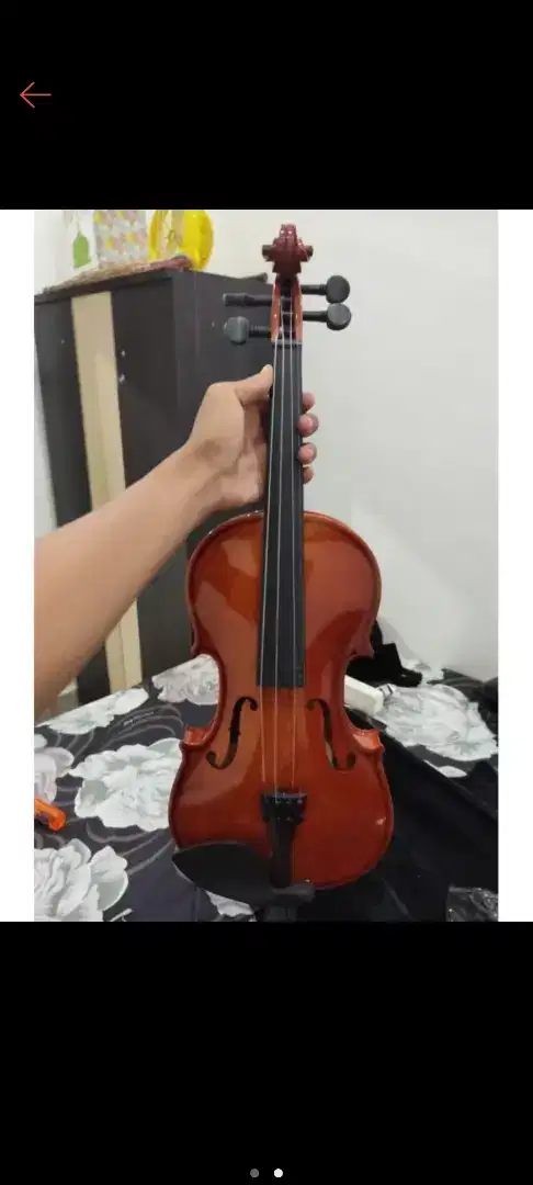 Biola violin mandalika 4/4 full set