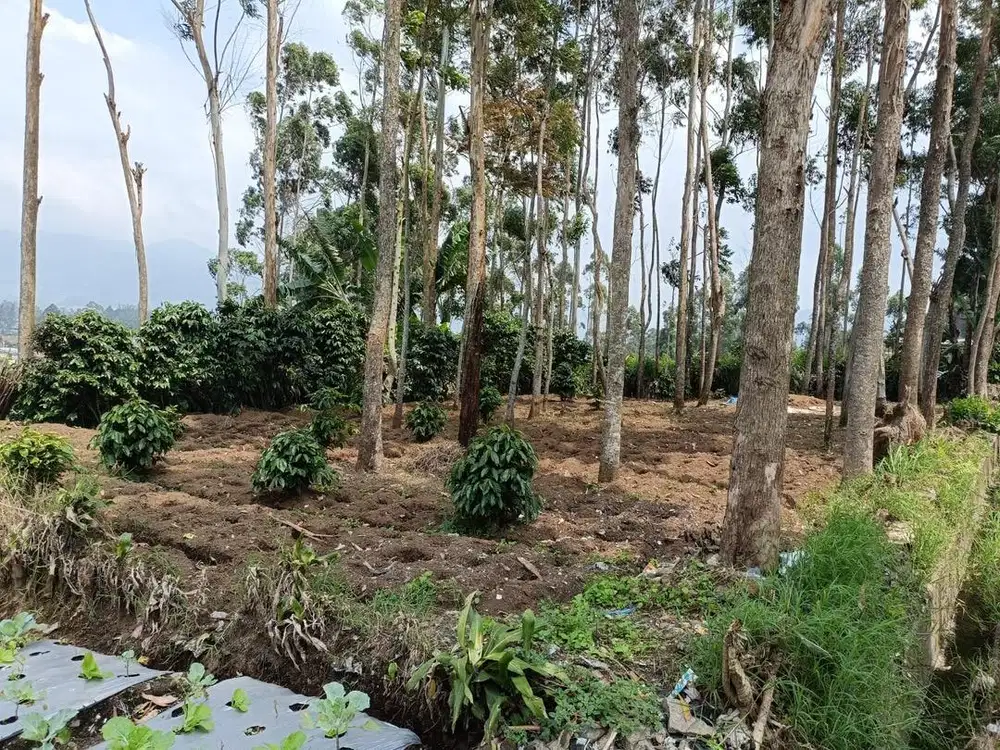 DIJUAL TANAH LUAS 436M