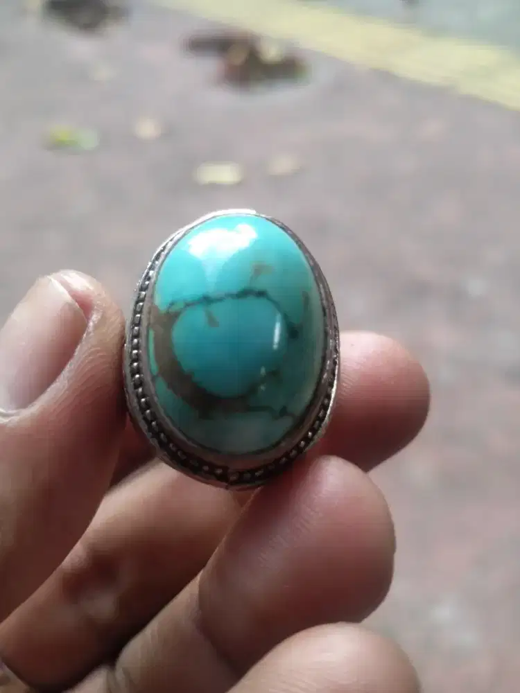 Pirus Persia serat emas