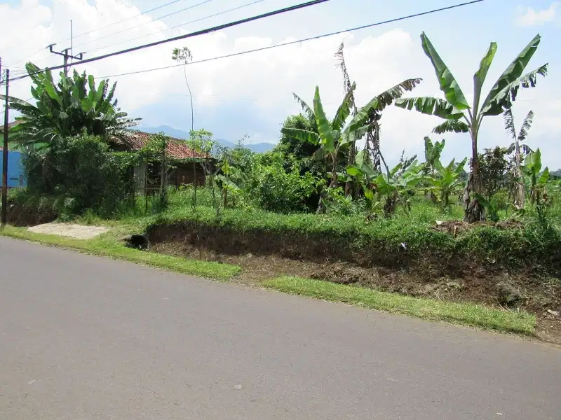 tanah pinggir jalan muka 20m luas 597m SHM. desa pasirbiru