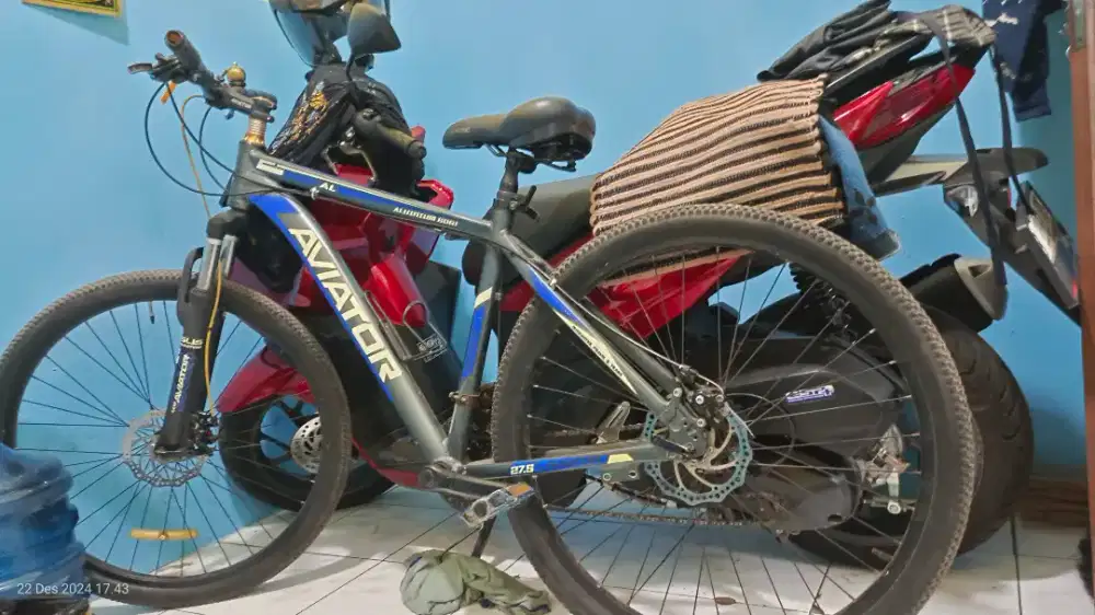 Sepeda aviator murmer