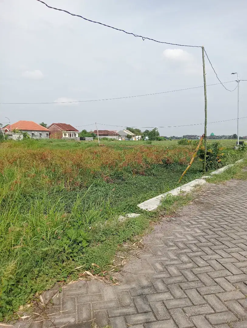 Jual tanah sawah tulangan Sidoarjo jalan paving