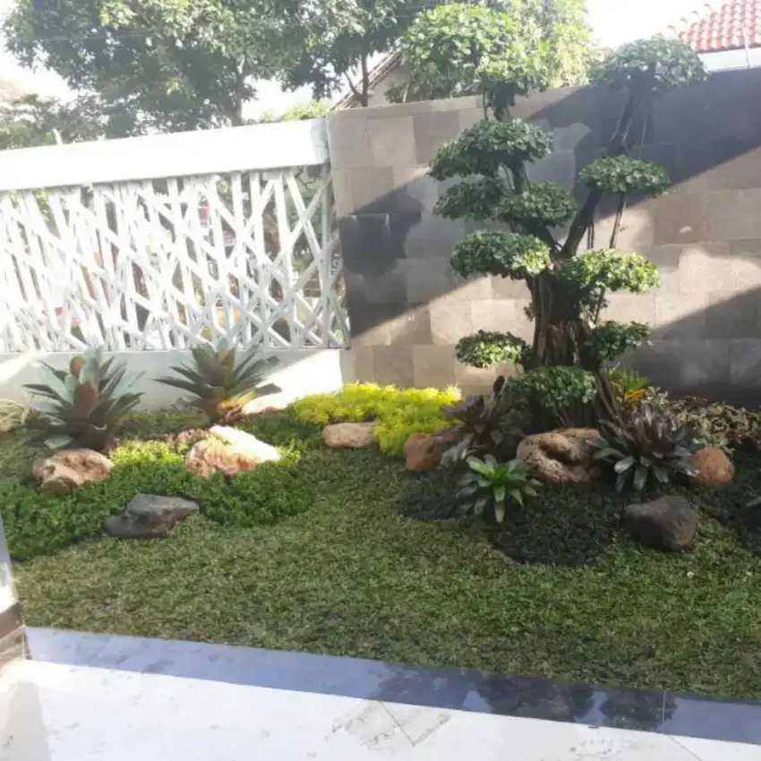 Taman halaman dengan bonsai