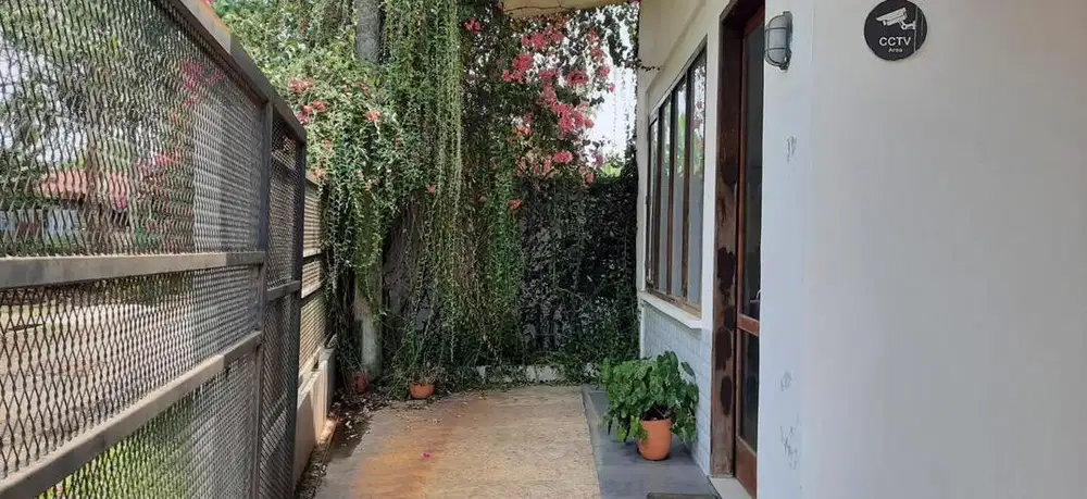 Dijual Rumah, Studio/Kantor dan Kosan Executive di pusat Kota Jambi