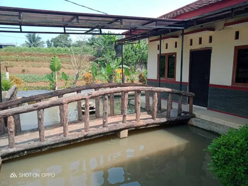 Rumah Villa Murah Tanah  Luas, Desa Sukawening Dramaga Kabupaten Bogor