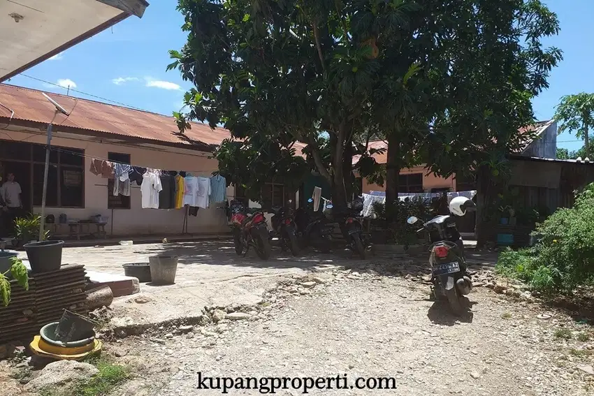 SIAP LELANG Tanah+Bangunan Kos di Kayu Putih Kota Kupang