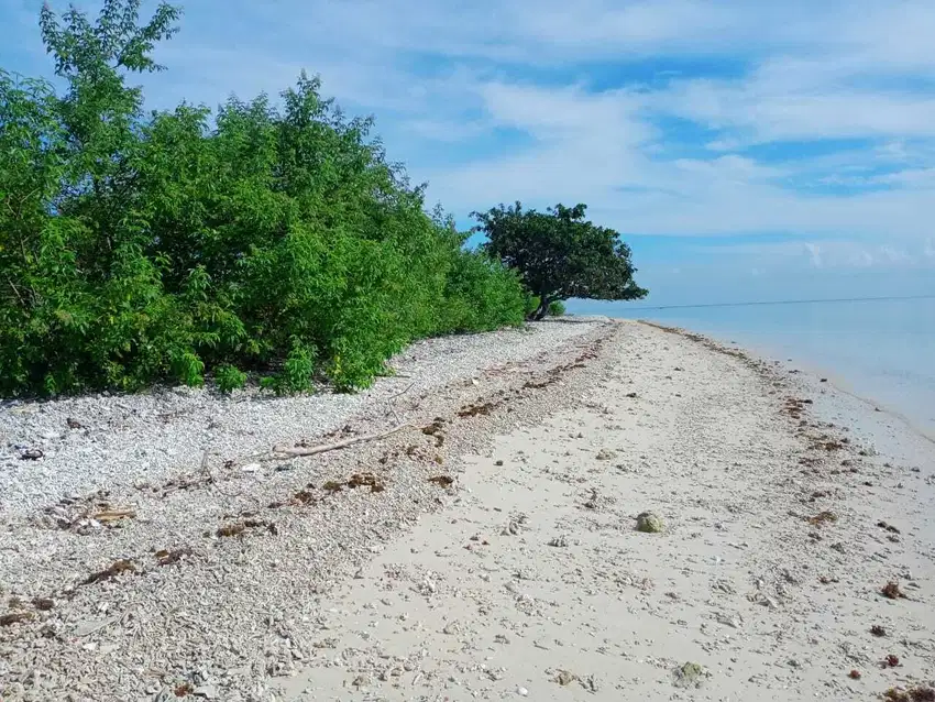 Tanah pinggir pantai di Gili Layar Sekotong