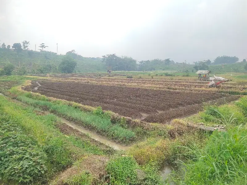 Tanah pacet murah dengan view gunung dan jalan cor 4-5 meter