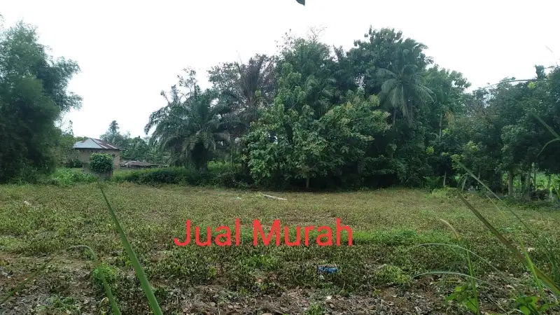 Tanah Darat  Cocok buat Pabrik & Gudang di Limau Manis Tanjung Morawa