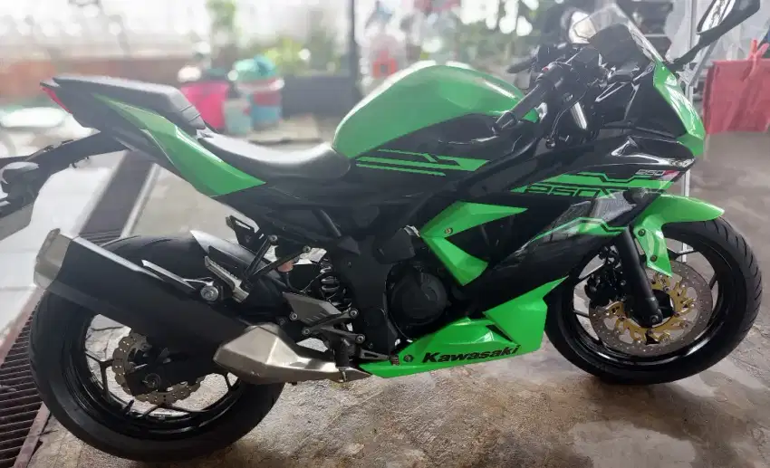 Ninja 250 SL 2017