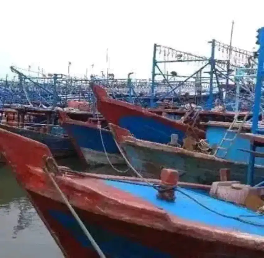 Lowongan kerja ABK ( Anak Buah Kapal) Cumi & ikan