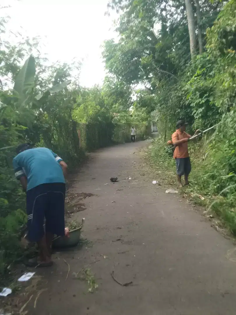 Jasa potong rumput