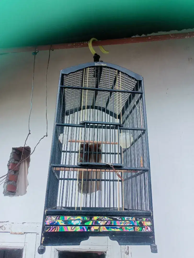 Sangkar burung no 4