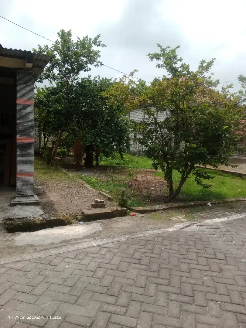 Dijual tanah padat penduduk shm siap bangun sangat ramee