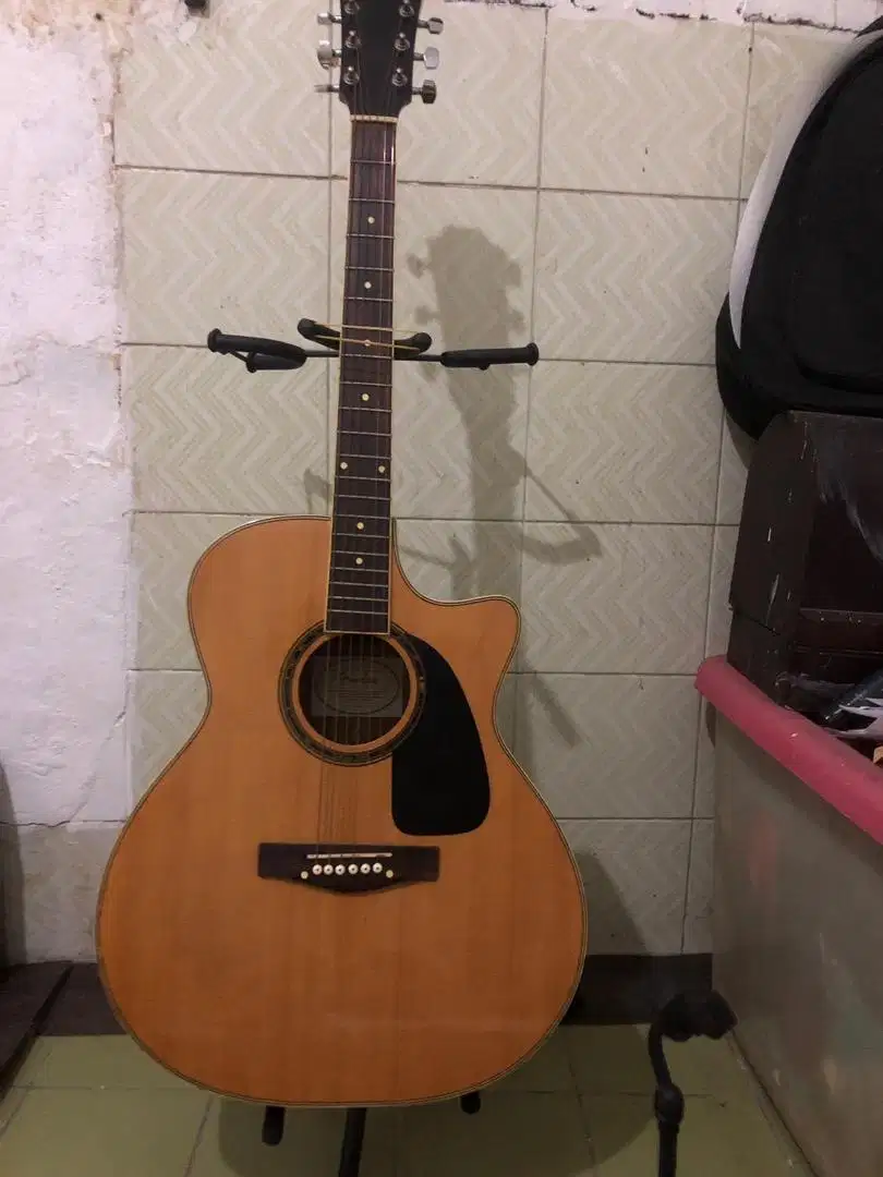 Gitar Akustik Elektrik Fender DG 11 NT