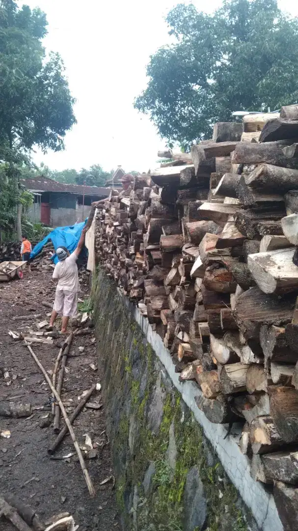 Kayu karet bakar super