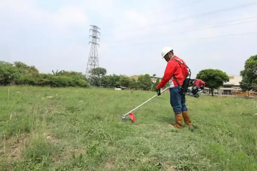 Jasa Potong Rumput/Tukang Potong Rumput/Tukang Kebun/Perawatan Taman