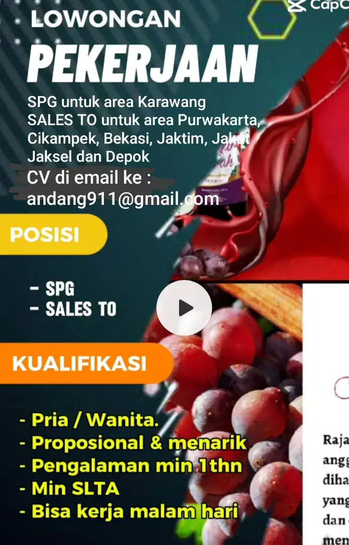 SPG & Sales TO expert