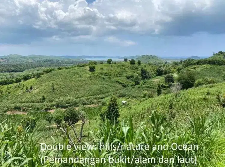 TANAH COCOK UNTUK VILLA DI LOMBOK TENGAH NTB DEKAT SIRKUIT MANDALIKA