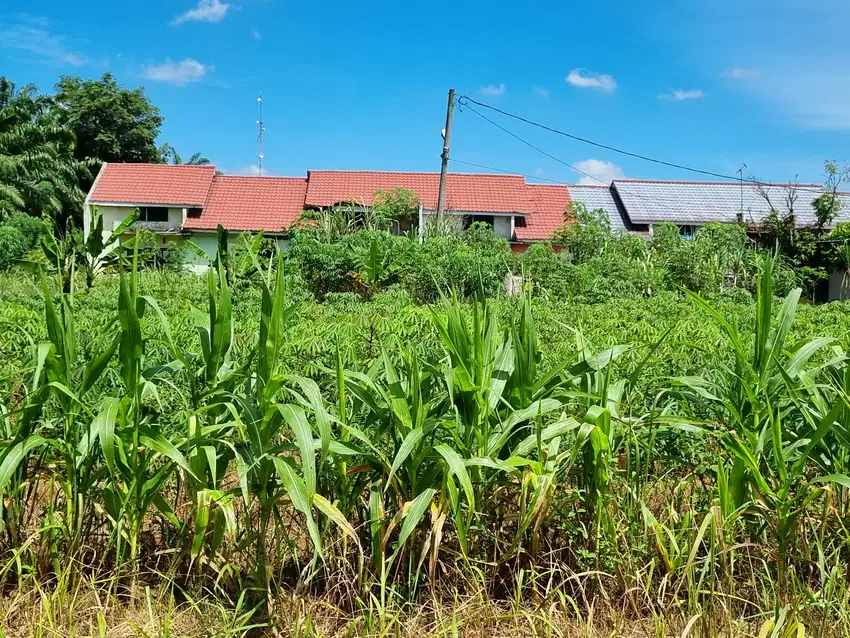 Dijual Kavling Kosong di Stabat, Sumatra Utara