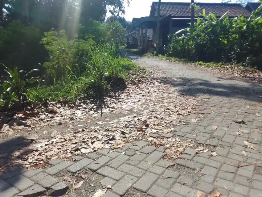 Di Jual Tanah Pekarangan