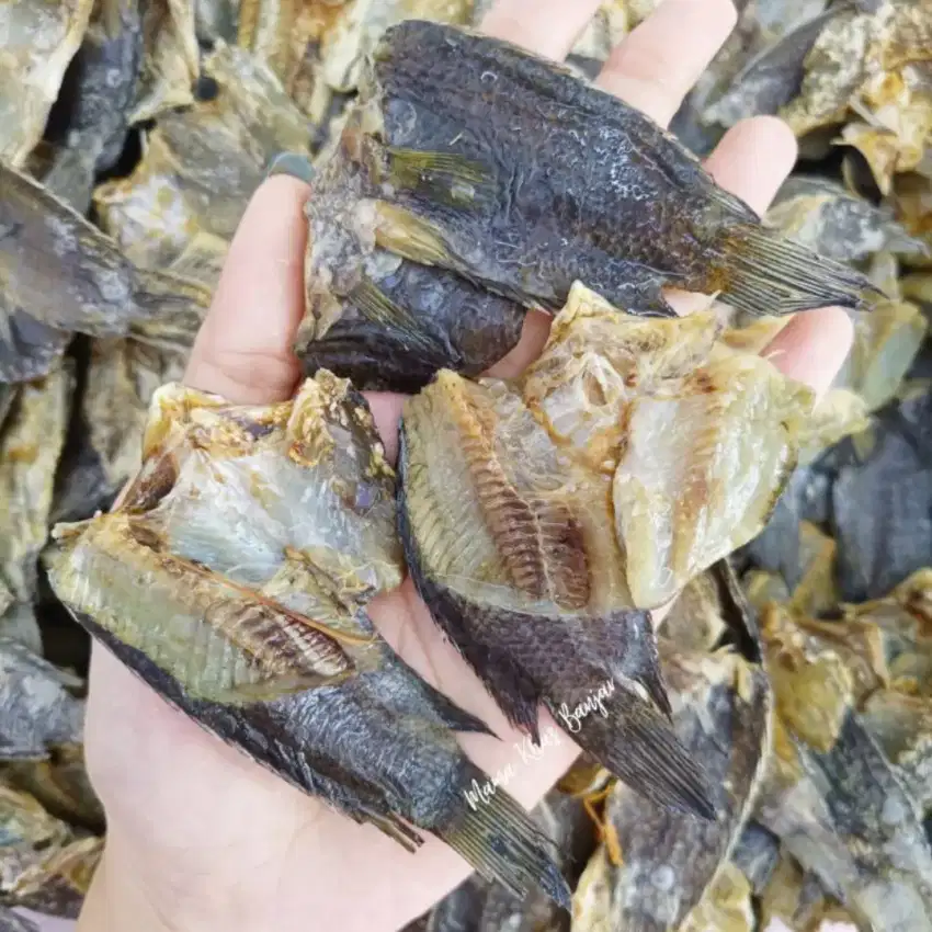 IKAN ASIN GARIH PAPUYU