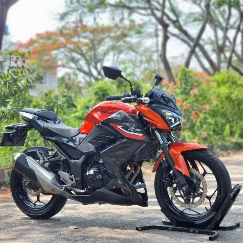 KAWASAKI Z250 ORANGE 2017 KM LOW PAJAK PANJANG SIAP GAS