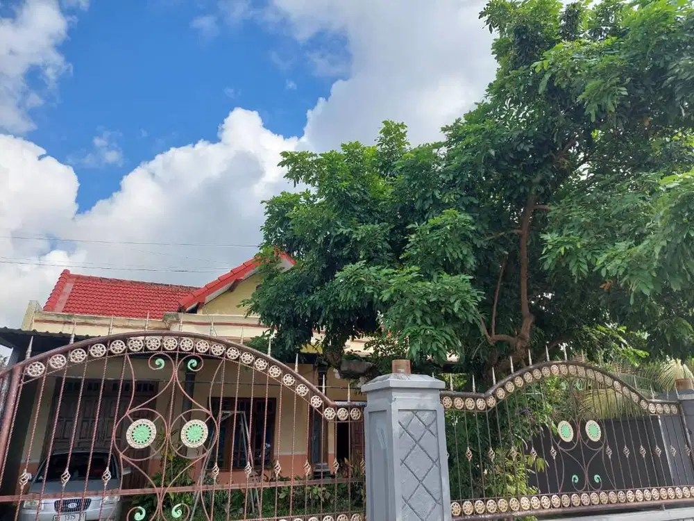 Rumah di Srono Banyuwangi