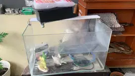 Aquarium kaca Full set dengan peralatan ikan