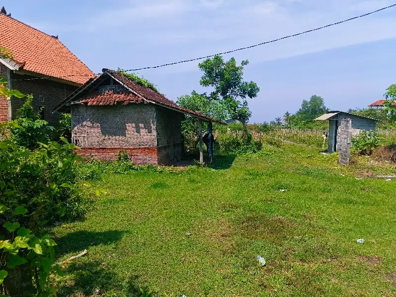 TANAH 19.6 ARE ZONA KUNING DI TEGAL BADENG BARAT JEMBRANA BALI