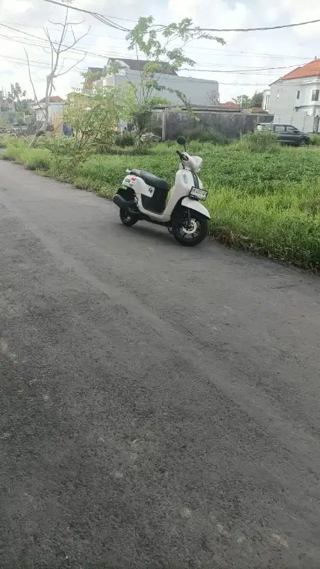 Di kontrakan tanah jalan Tukad Balian , Denpasar, Bali