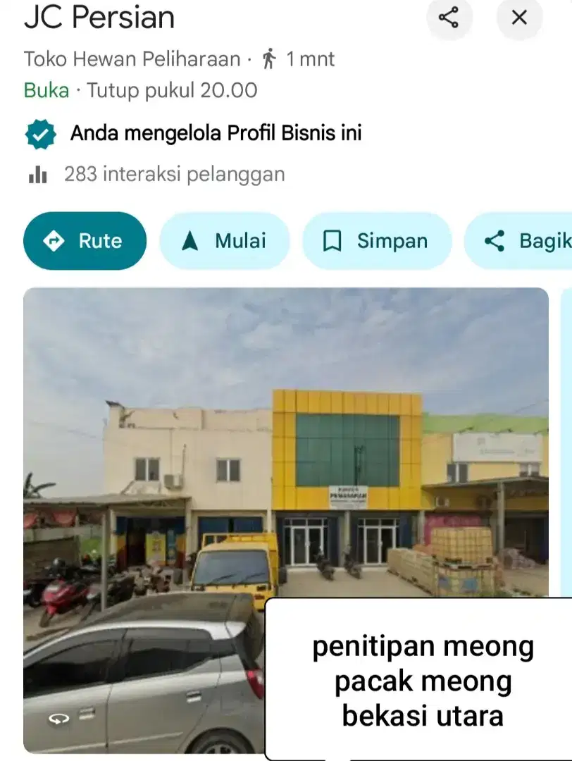 Peniti ivan meong/ Facak meong